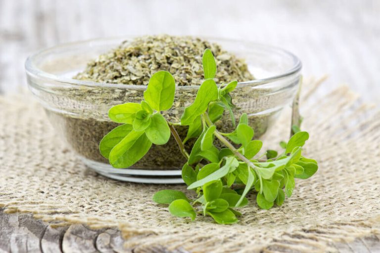 10 Substitutes For Thyme To Use In A Recipe (Fresh & Dried Herbs)