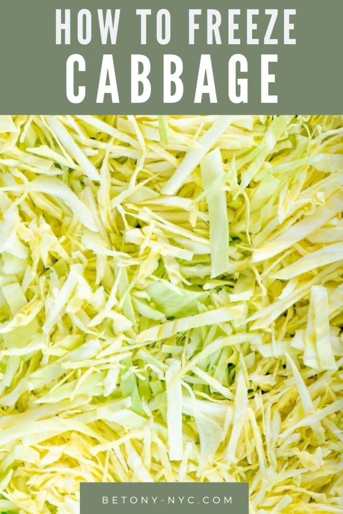 Can You Freeze Cabbage? {Yes! Here's 3 Ways To Freeze It} Betony