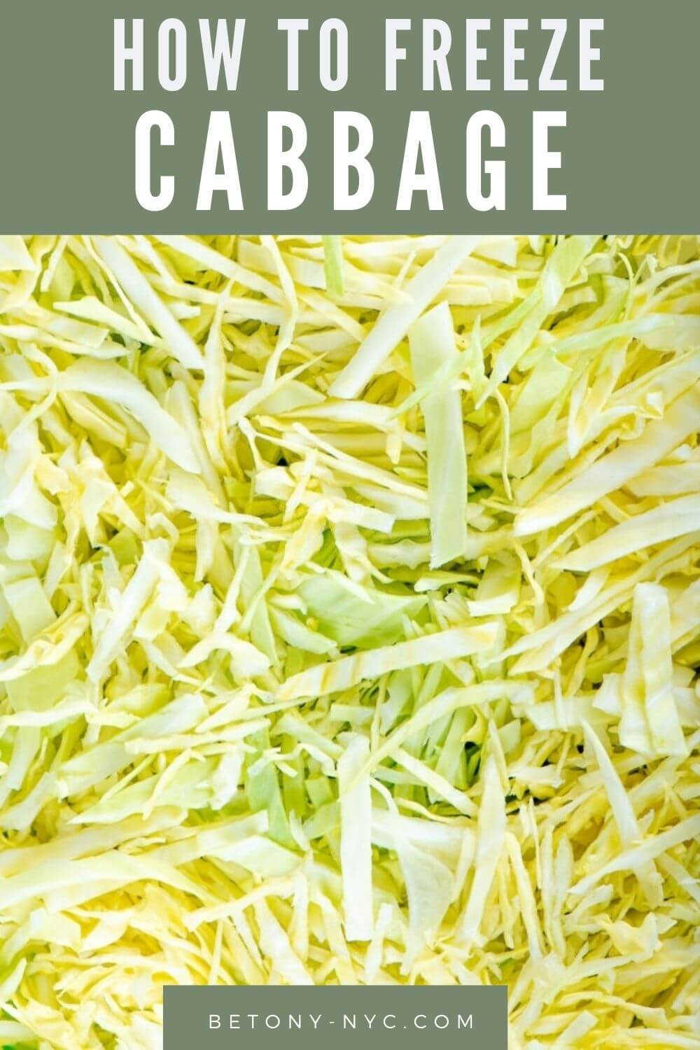 Can You Freeze Cabbage? {Yes! Here's 3 Ways To Freeze It} Betony