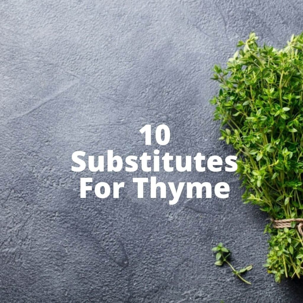 10 Substitutes For Thyme To Use In A Recipe (Fresh & Dried Herbs)