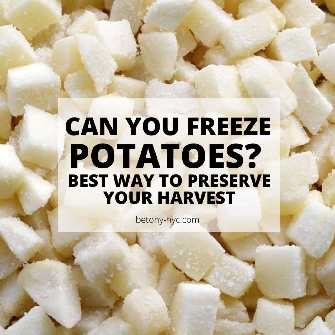 Can You Freeze Potatoes 17 Best Way to Preserve Your Harvest
