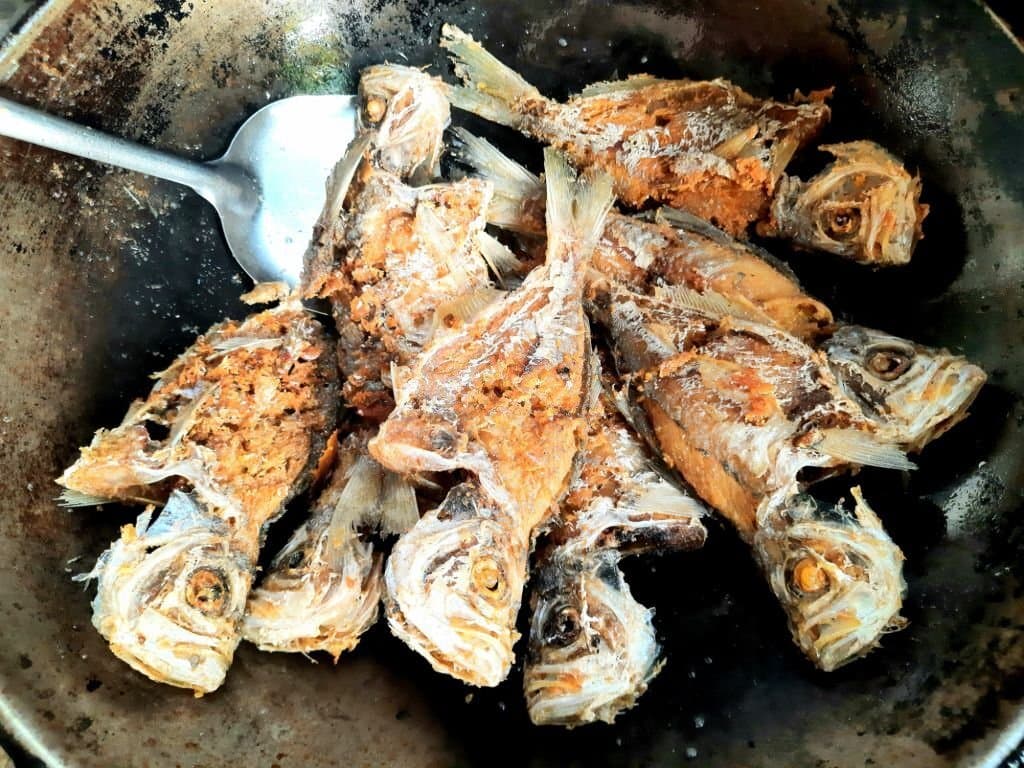 The Best Temperature to Cook Fish A Comprehensive Guide Betony