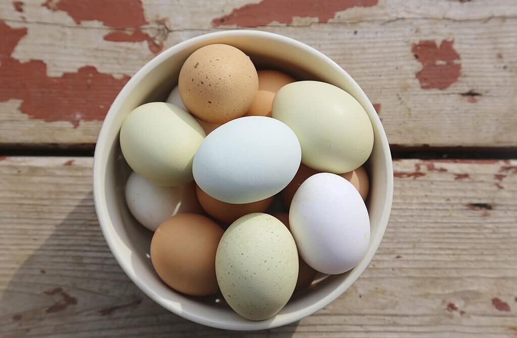 30+ Different Types of Eggs Which One is the Healthiest for You? Betony