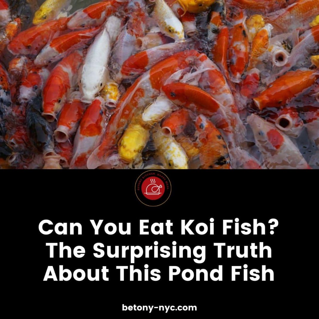 Can You Eat Koi Fish? The Surprising Truth About This Pond Fish