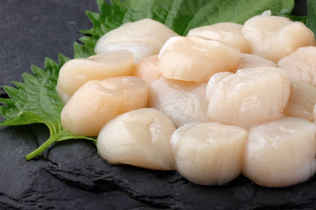 Can You Eat Raw Scallops? The Truth About Raw Seafood