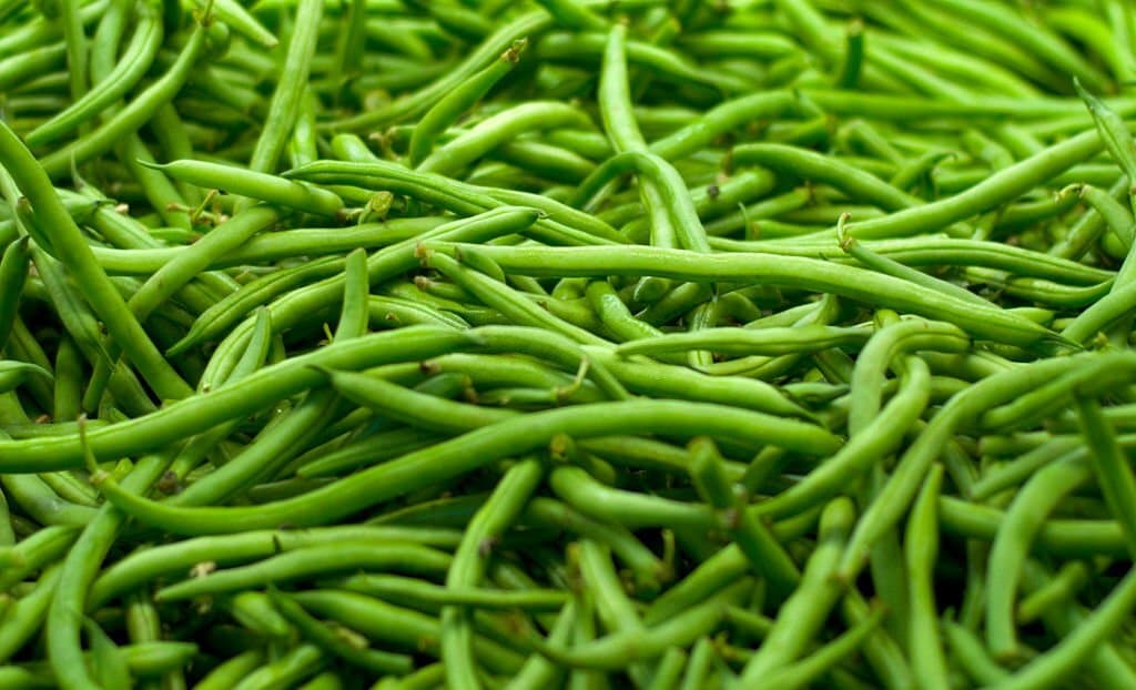 Can You Eat Green Beans Raw? The Surprising Answer Betony