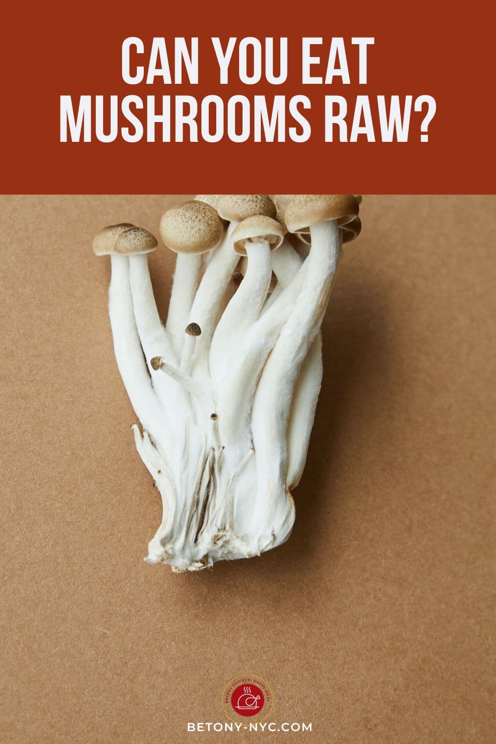 Can You Eat Mushrooms Raw? The Benefits and Risks Betony