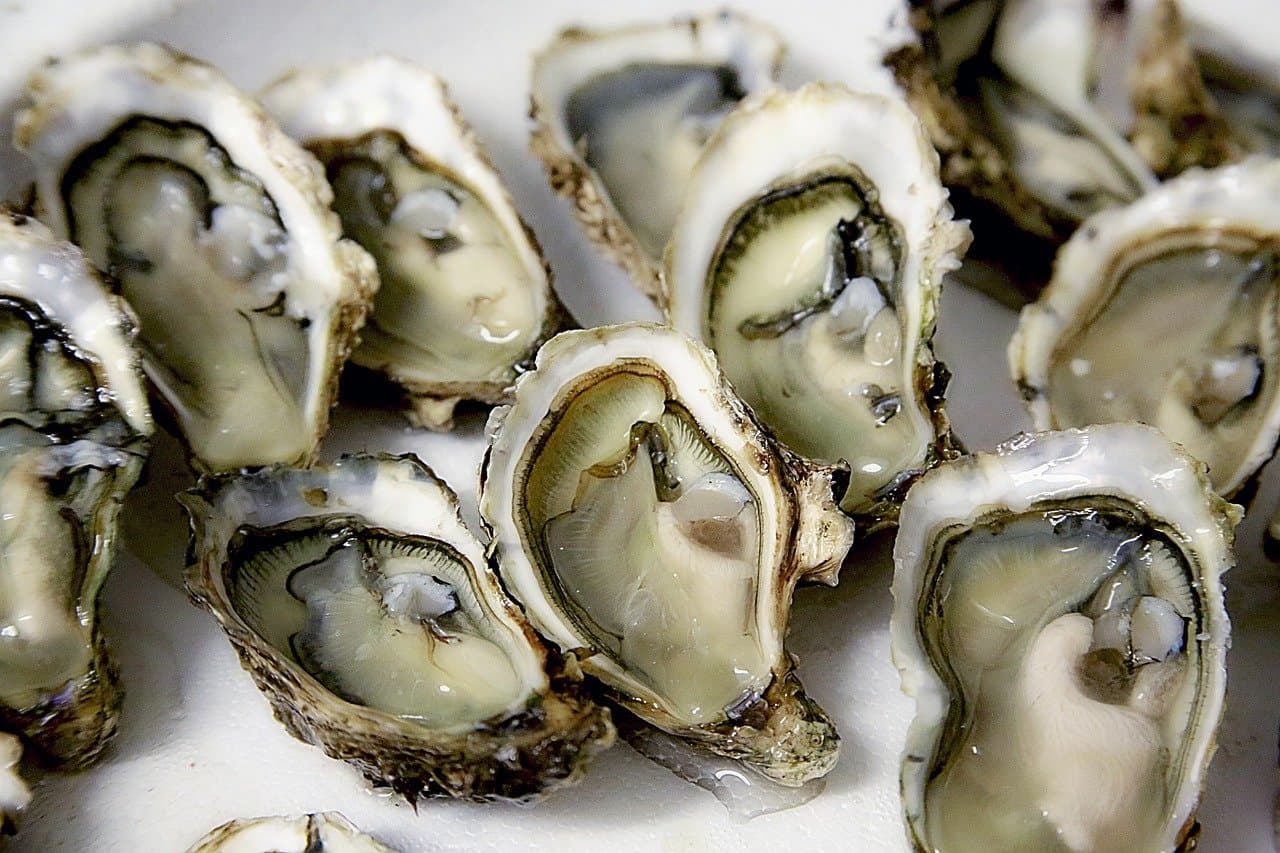 Can You Eat Oysters While Pregnant? What the Experts Say