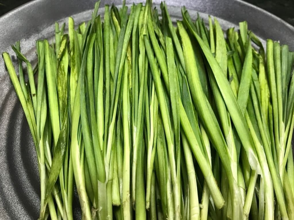 17 Best Substitutes for Green Onions Betony