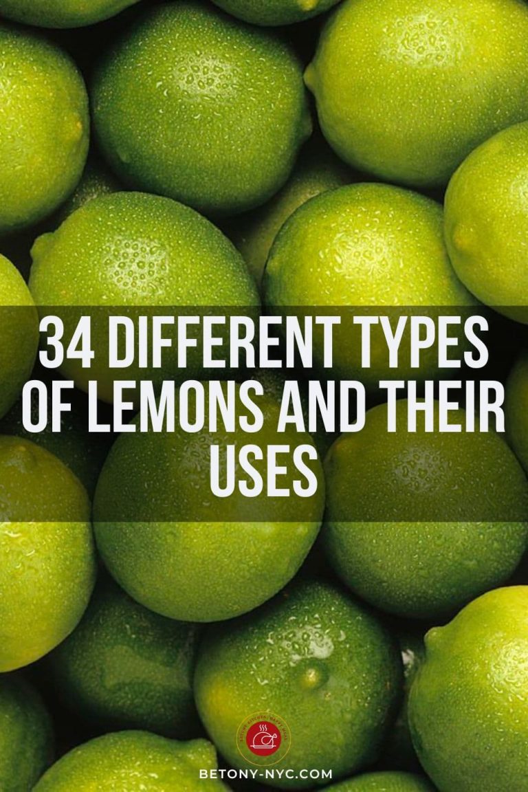 34 Different Types of Lemons and Their Uses (With Pictures)