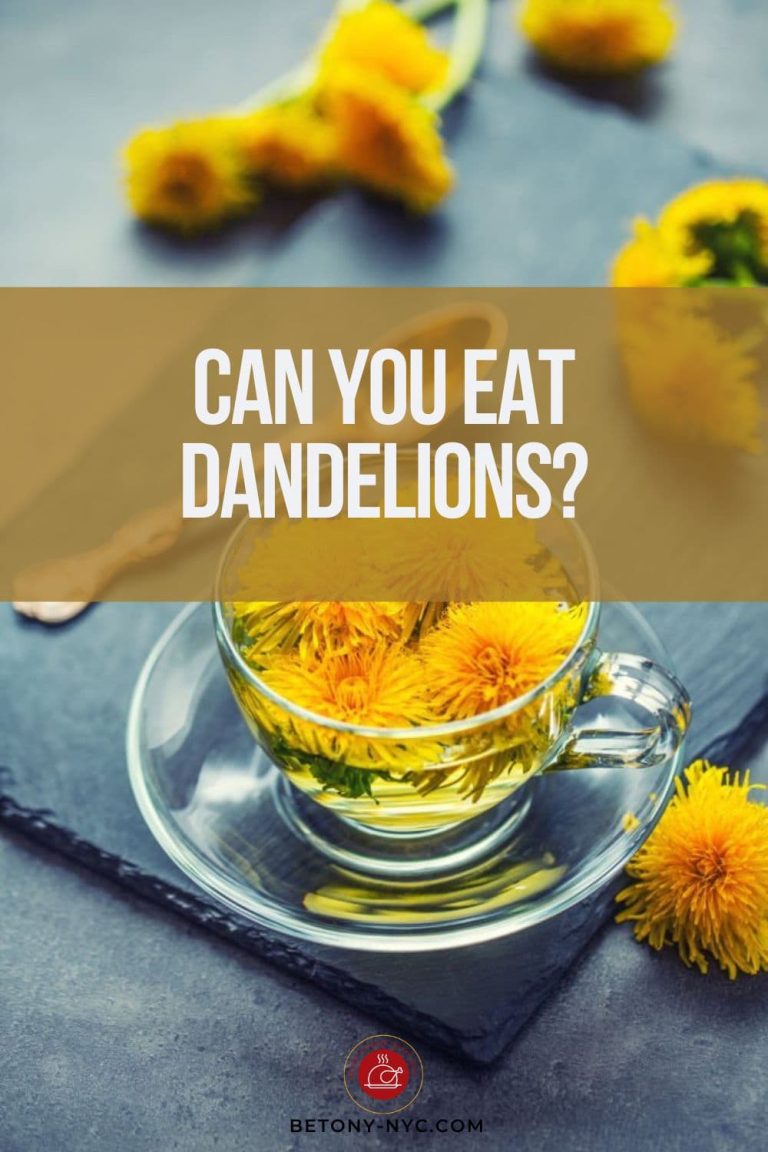 Can You Eat Dandelions? Is It Safe? Betony