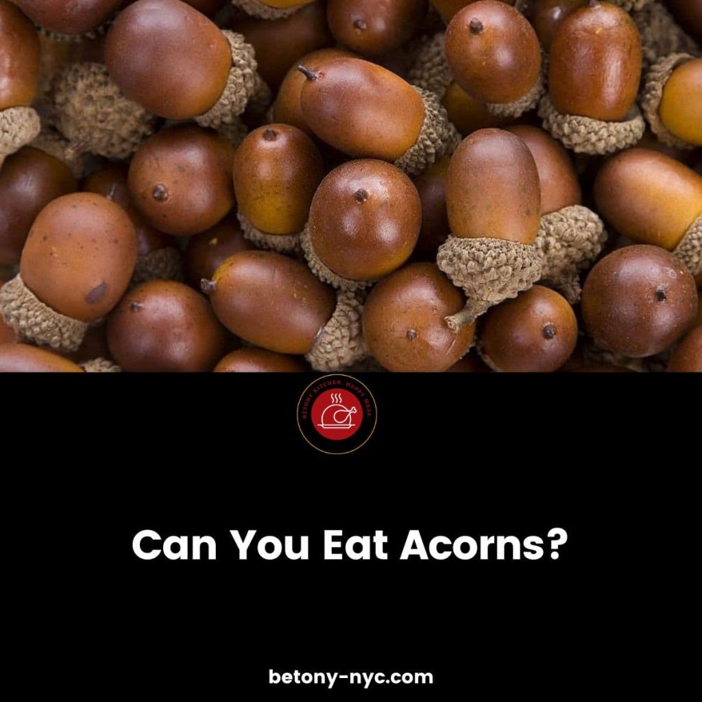 Can You Eat Acorns? The Truth About This Nutty Delicacy Betony
