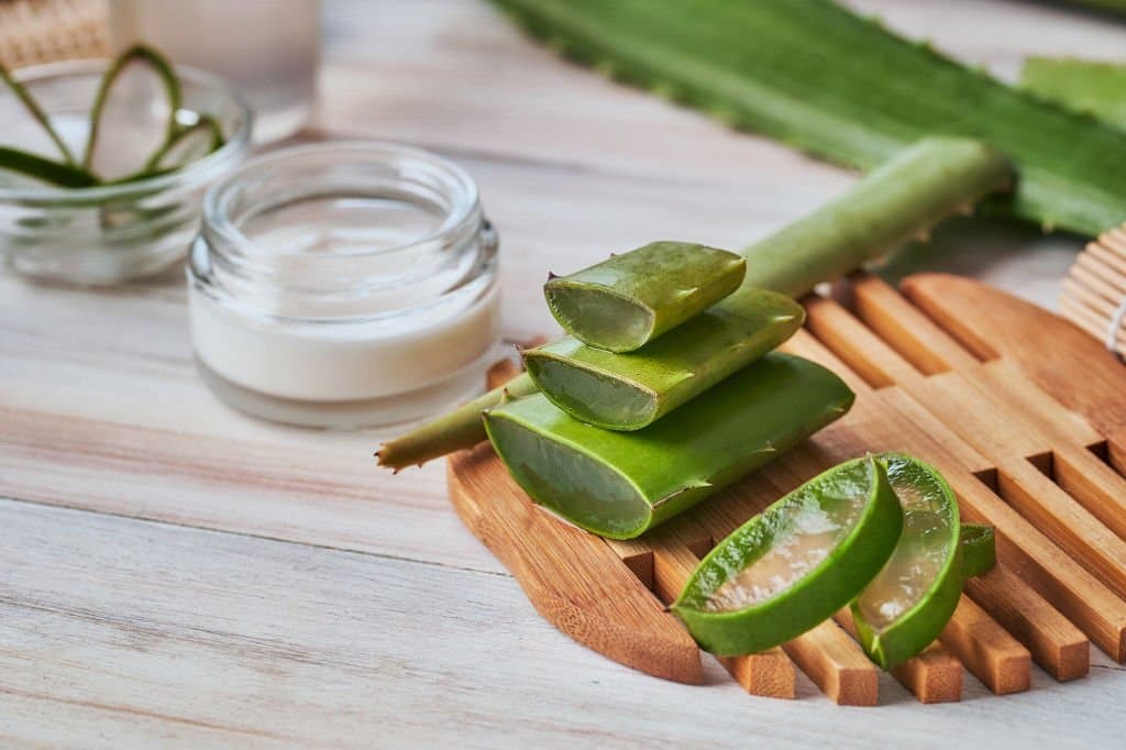 Can You Eat Aloe Vera? (Benefits, Side Effects) Betony