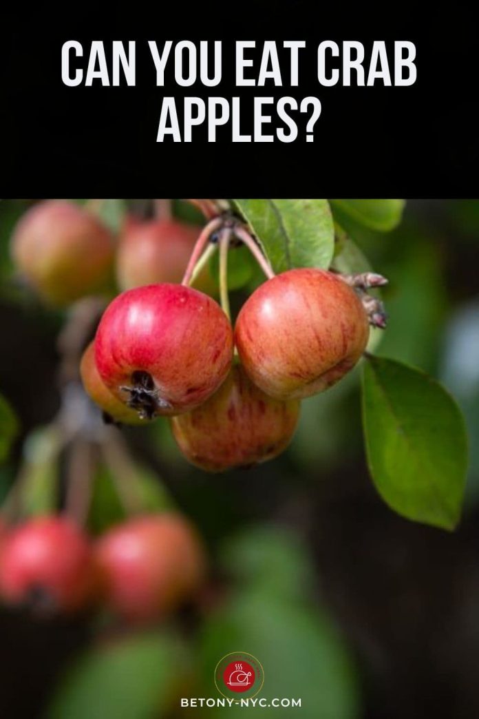 Can You Eat Crab Apples? Betony