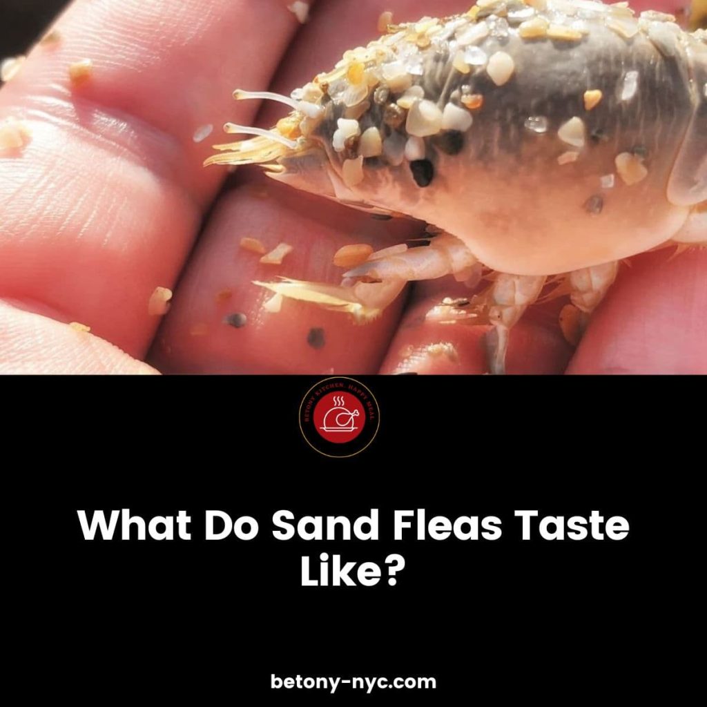 What Do Sand Fleas Taste Like? Betony