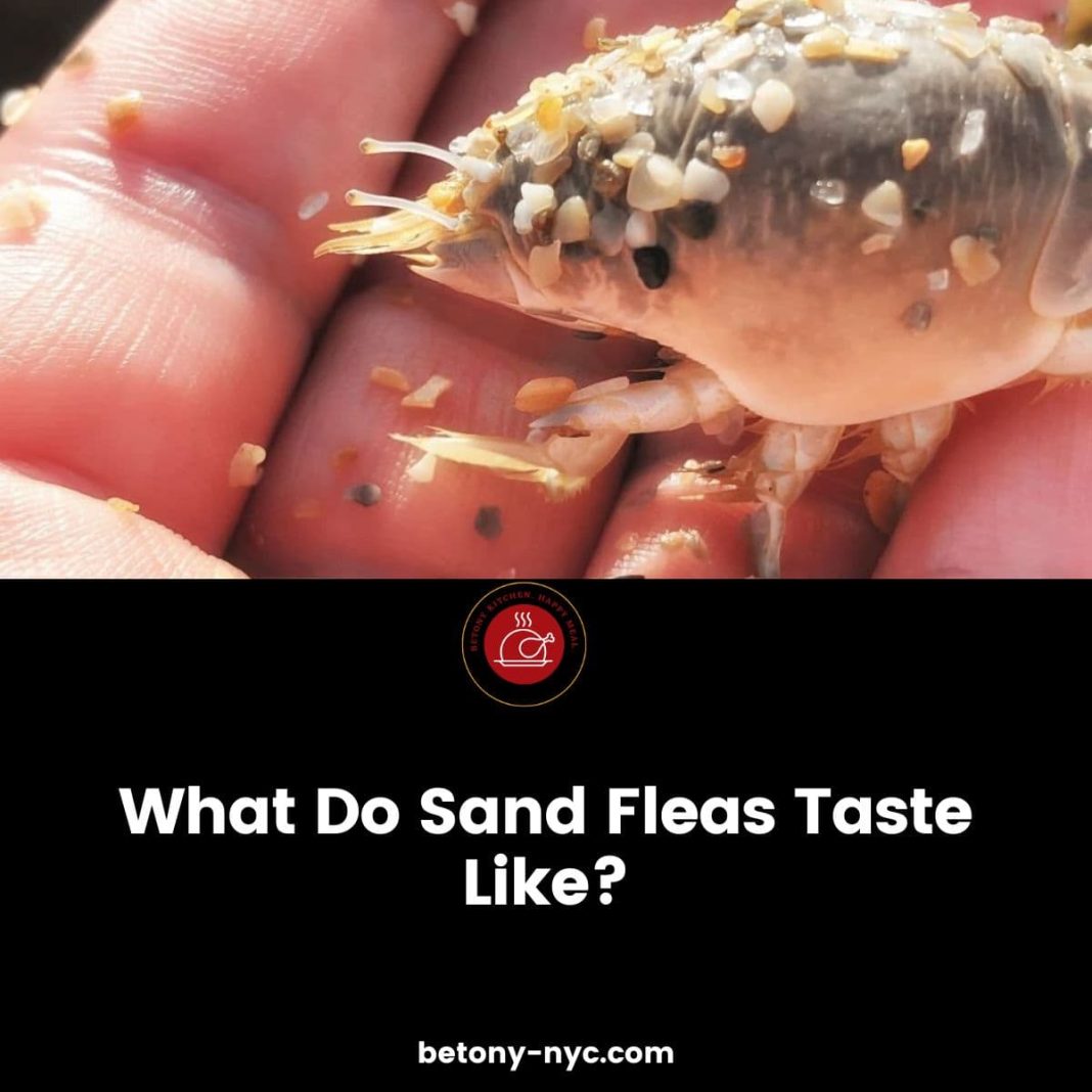 What Do Sand Fleas Taste Like? Betony