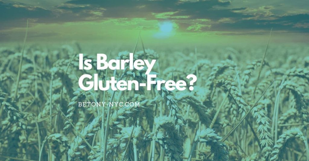 Is Barley GlutenFree? Here's What You Need To Know