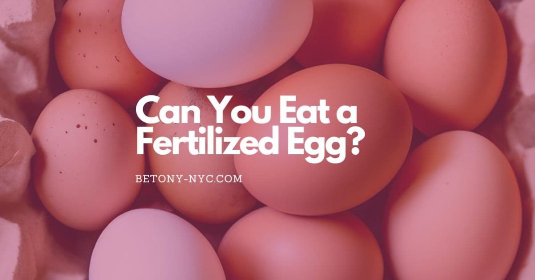 Can You Eat a Fertilized Egg? A Comprehensive Guide Betony