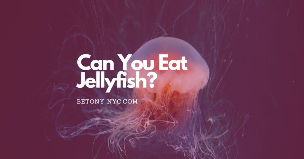 Can You Eat Jellyfish? An Insider's Guide Betony