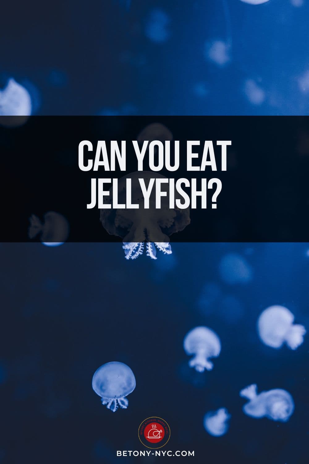 Can You Eat Jellyfish? An Insider's Guide Betony