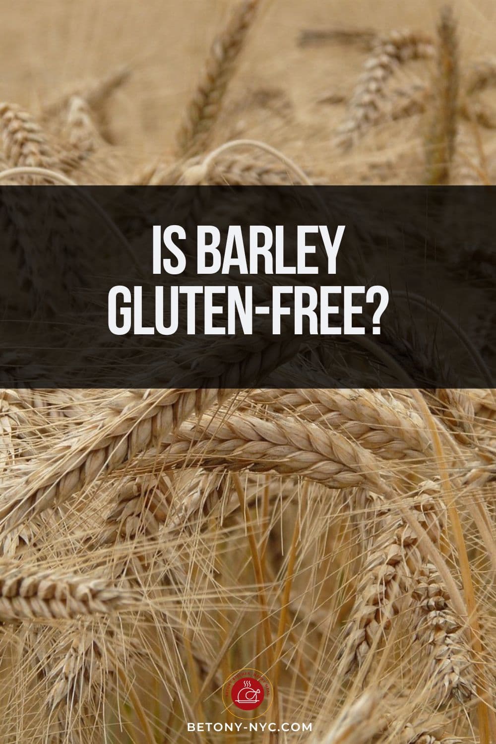 Is Barley GlutenFree? Here