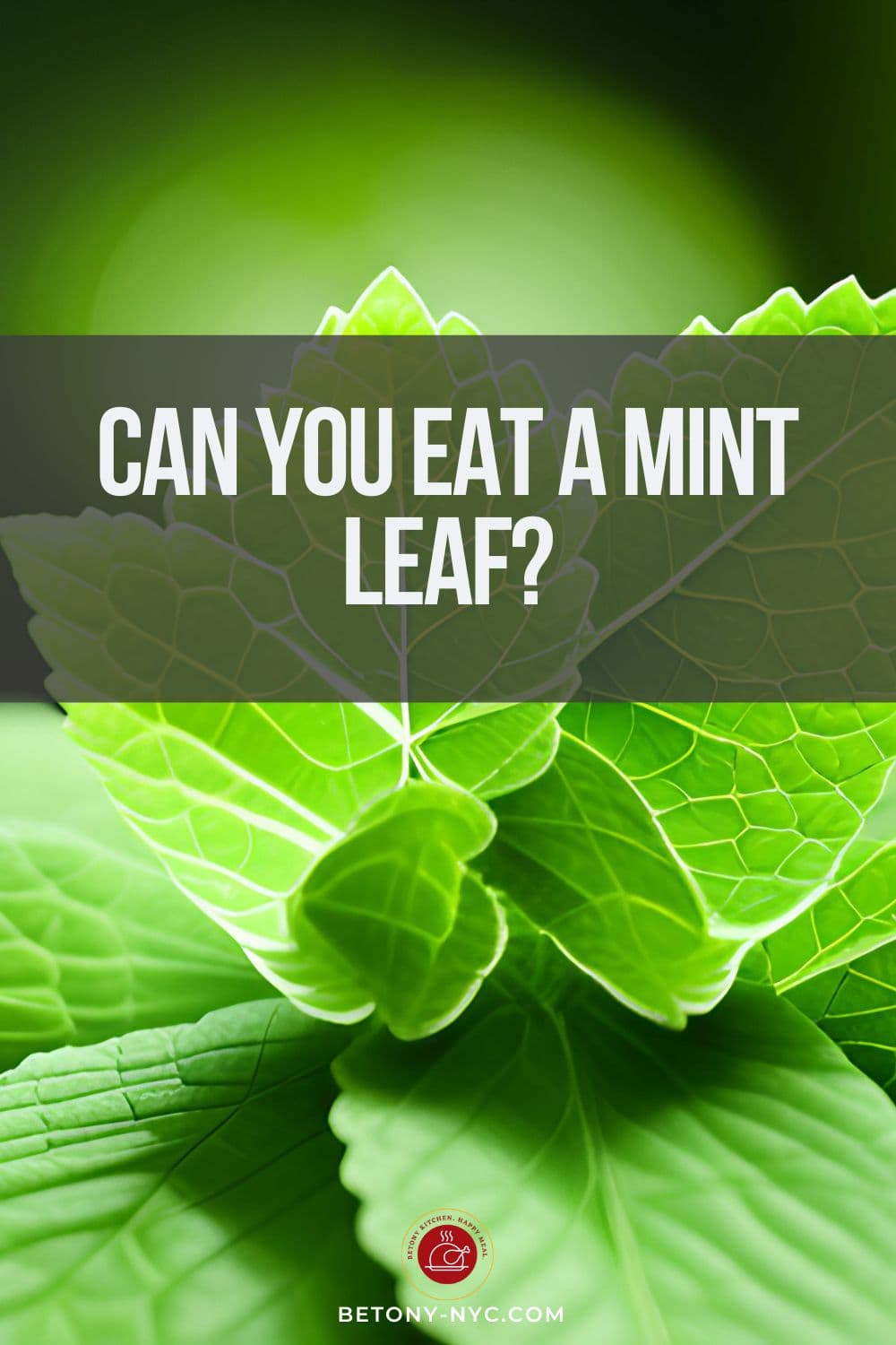 Can You Eat A Mint Leaf? Learn the Benefits and Risks Betony