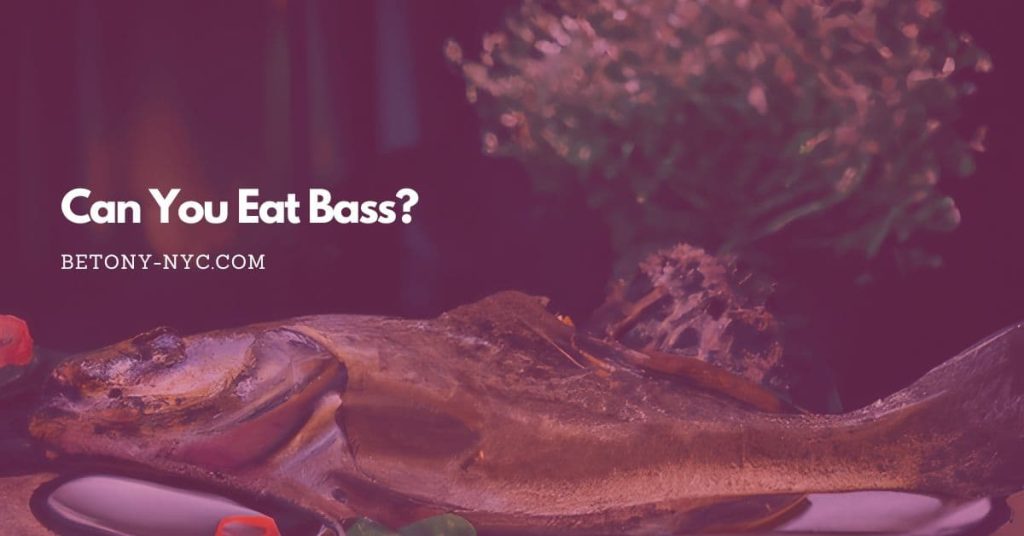 Can You Eat Bass? Exploring the Facts Betony